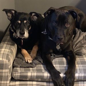 Meet your Posher, Sean